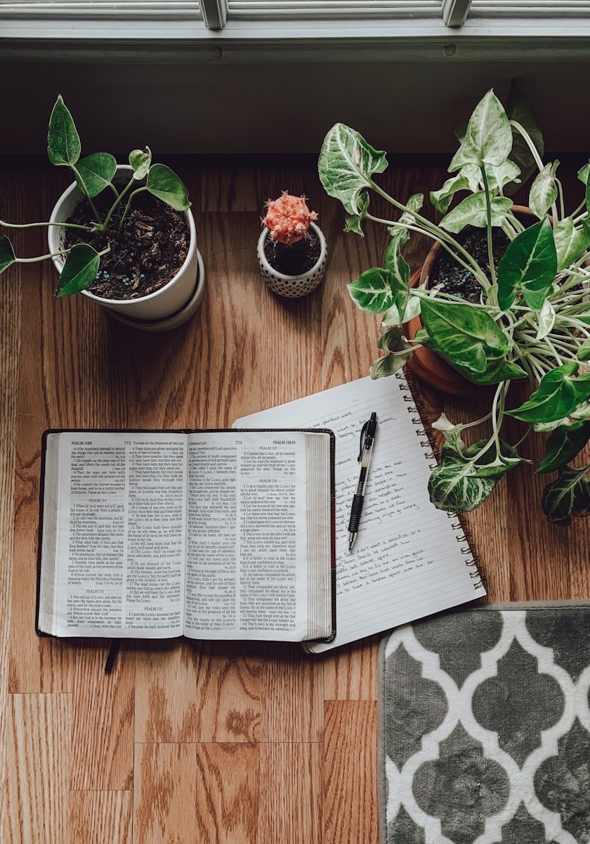 white book page beside green potted plant
